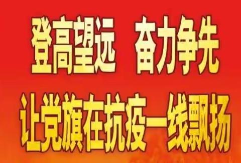 登高望远，奋力争先，让党旗在抗疫一线飘扬