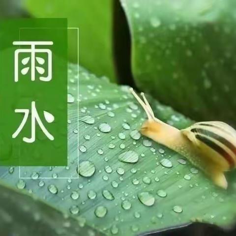 《春雨懵懂 “雨”你相遇》二十四节气之雨水——舞钢市实验幼儿园活动