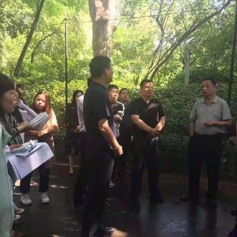 城投集团董事长兼党委书记马胜利对革命公园及长乐公园改造工作督导调研