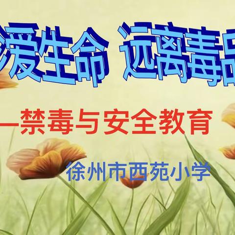 珍爱生命 远离毒品——西苑小学开展“禁毒与安全”专题教育