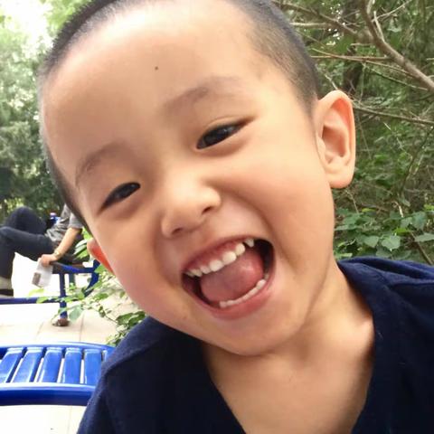 我是中国人——子庄第二次回国