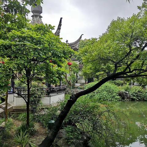 话说我们的“五一文化节”