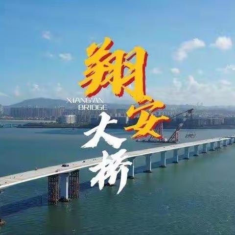 热烈祝贺厦门翔安大桥主桥通车！