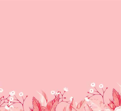“春意映红颜 绿地展芳华”——龙岩分行个数部欢度女神节