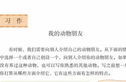 彩虹佳作，各放异彩——彩虹班四年级下册第四单元优秀作文展示