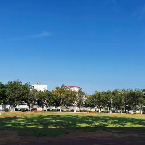 昌江县第三小学英语学科线上教学活动简报(二)