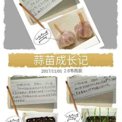 奇思妙想 灵动创意一一记青杠实验小学第三届奇思创意节