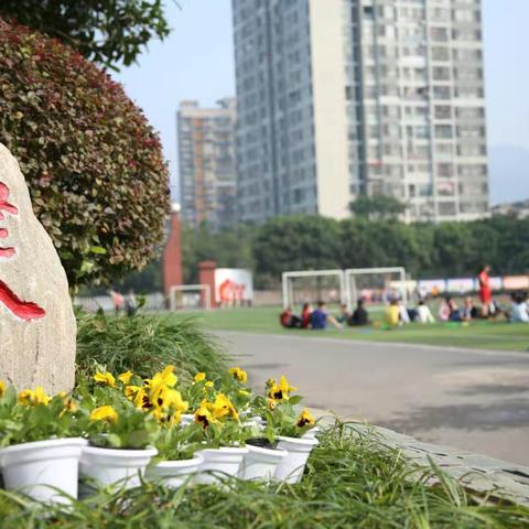 沉下心来做最美教育 一一一前行中的青实小掠影