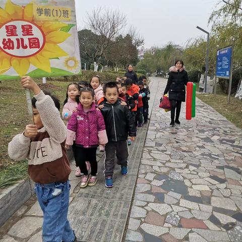 星星幼儿园本周概况