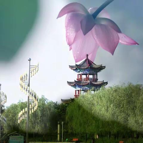 夏荷嫣然