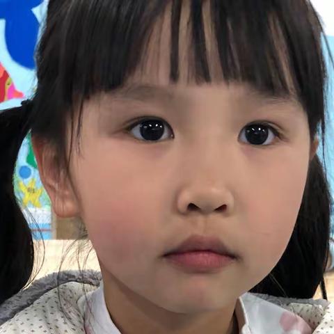 花开盛夏时 ——2022年水木菁华幼儿园一顺大班纪念册