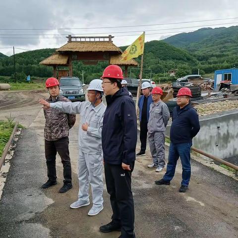 区长丛茂昆带队调研防汛和水系连通及水美乡村建设项目