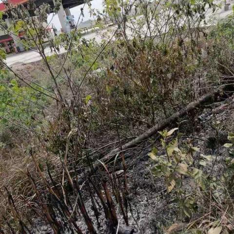 宝林站成功处置加油站旁初期火灾