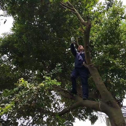 党员服务油站、油站焕然一新