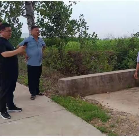 镇领导和国土李所长来辛庄村核实农田范围内非耕地图斑