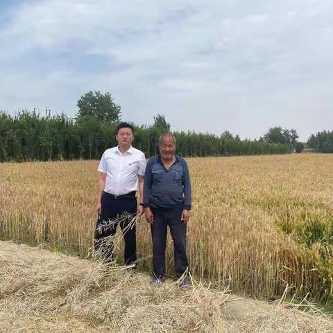 刘寺分社走访入户贷款营销