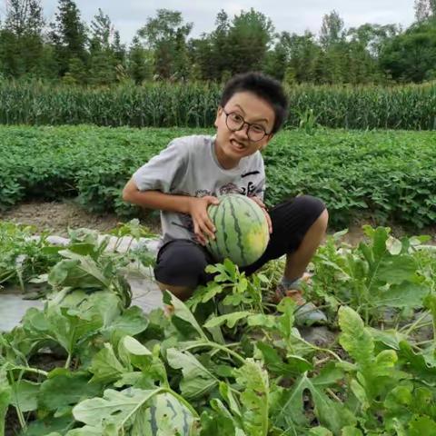 暑假劳动实践活动