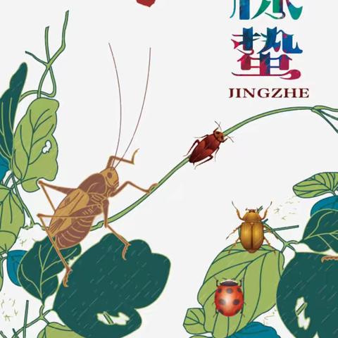 惊蛰到 万物苏——启航幼儿园惊蛰美篇
