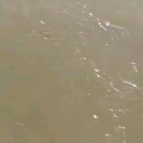 桥北头小学快讯--子牙新河泄洪，请各位家长及学生做好防护！