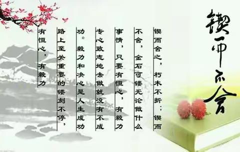 课堂展风采，听课活动促成长—桥北头小学听课评课纪实