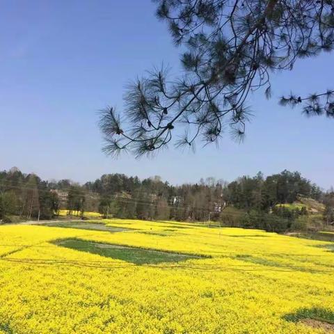 2016……我的足迹