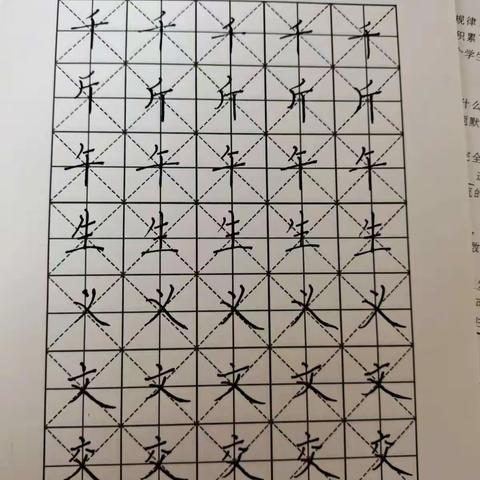 徐贺小学教师钢笔字粉笔字训练作业第五周