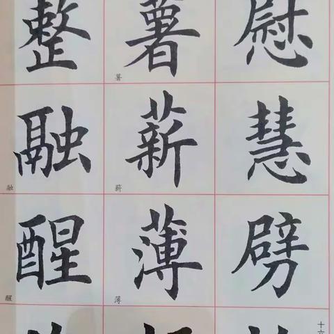 书店偷拍楷书字帖