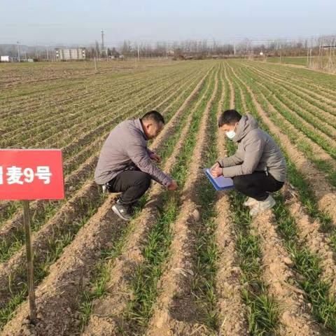 韩城市农业农村局12月14日工作动态