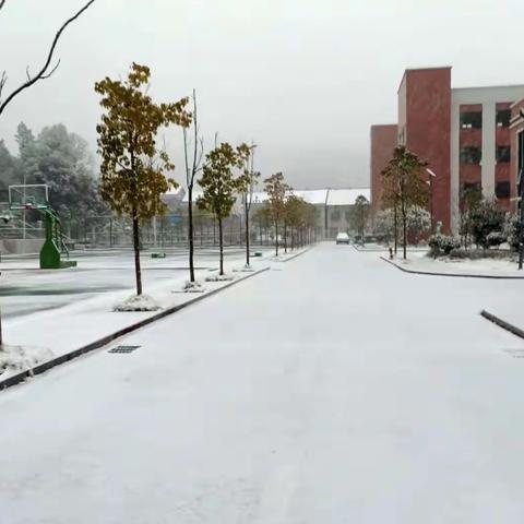 低温雨雪来袭，安全知识记心间！大新中学致家长的一封信