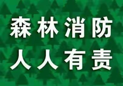 大新中学森林防火致家长的一封信