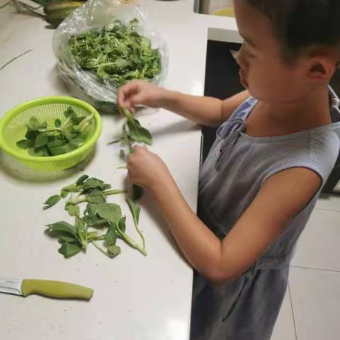 【劳动创造美】多彩暑假，劳动一“夏”