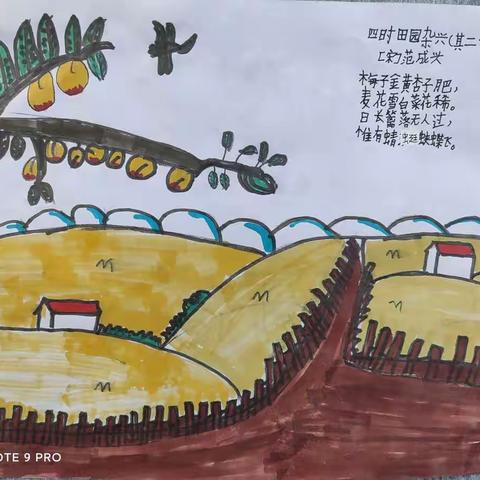 秦河完全小学四年级多元化作业展示（一）
