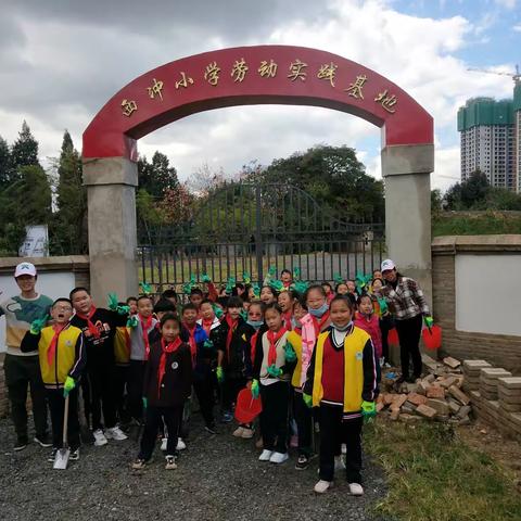 劳动创造美好生活