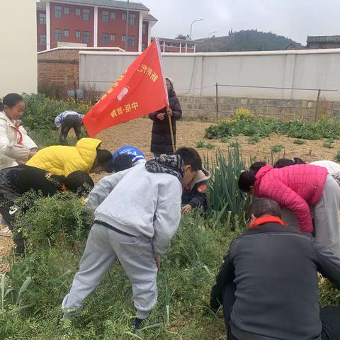 榜样育人 学雷锋志愿活动进行时一一泸西县中枢镇学雷锋活动