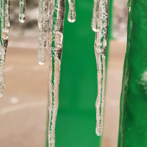 冻雨美则美矣，造成的损害太大了