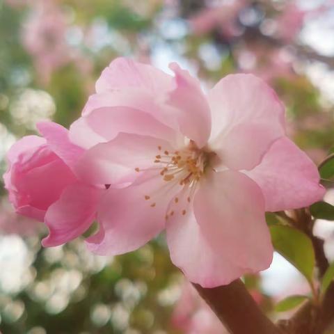 3月份的库存相片