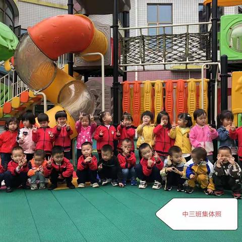 乐雅幼儿园践行专业幼教之教学篇