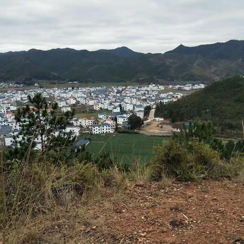 2019新年登上吉祥塔