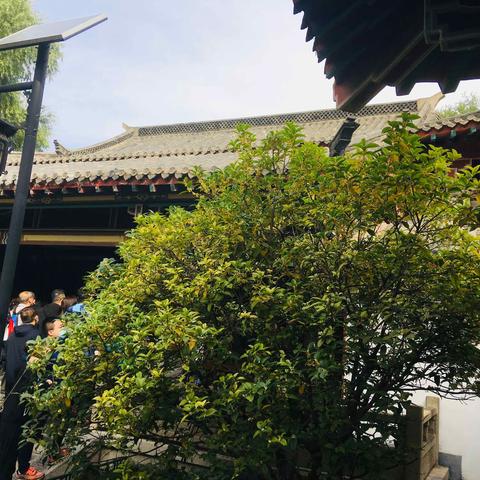 国庆中秋趵突泉，桂子飘香远~