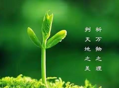 【人间三月芳菲始，植树造绿正当时】睿博教育户外亲子植树活动