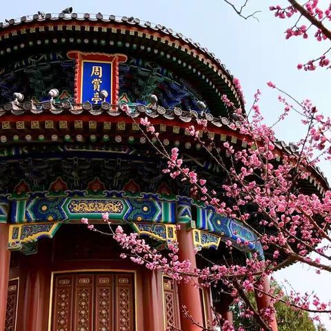 北京的春天