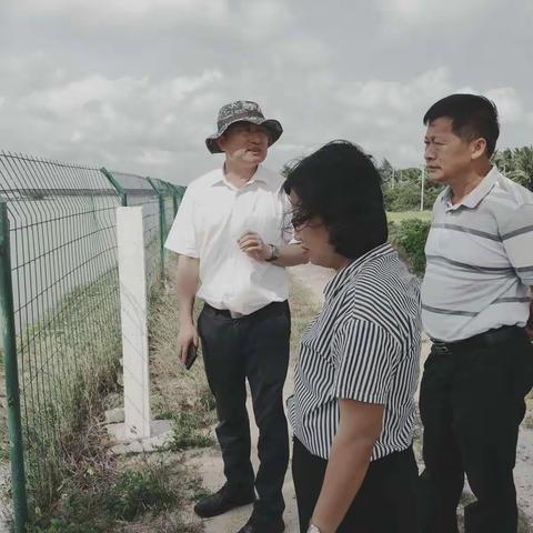 文昌市河长制湖长制工作周报