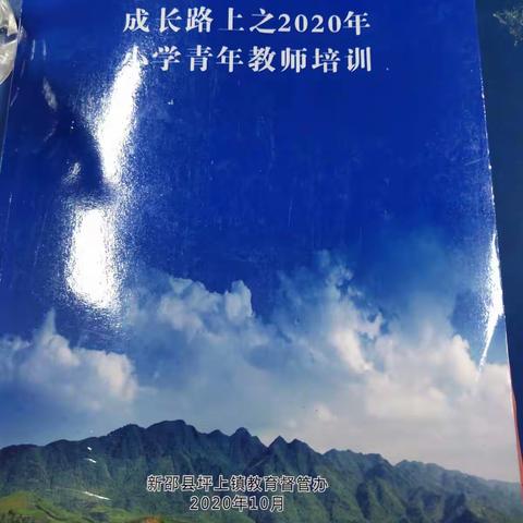 2020年坪上镇青年教师培训活动