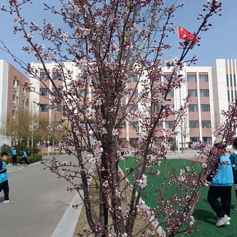 春暖花开——少年上进正当时