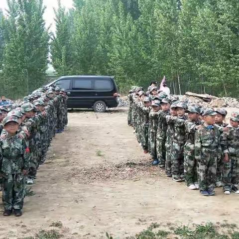 莹莹🌿三草两木的美篇