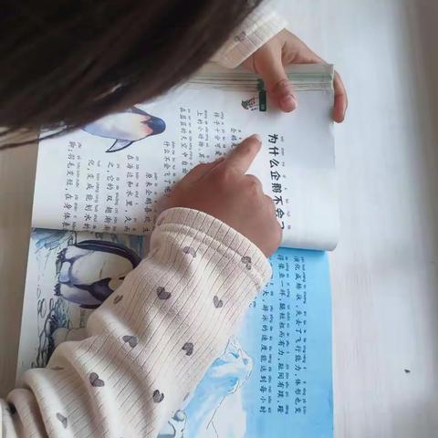 常梓涵的寒假生活