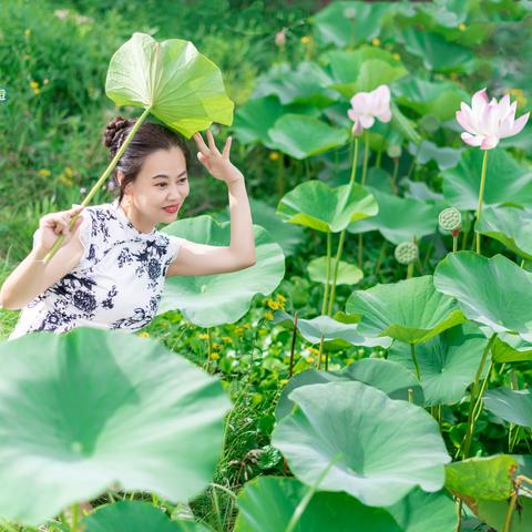 汉风荷香（第二季）-旗袍篇1
