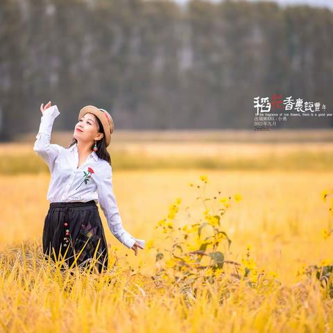稻花香里说丰年