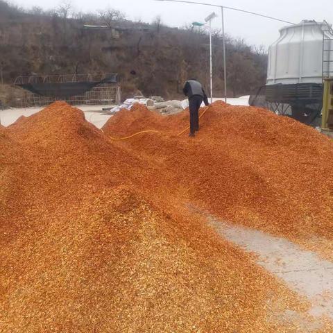 香菇菌棒制作技术