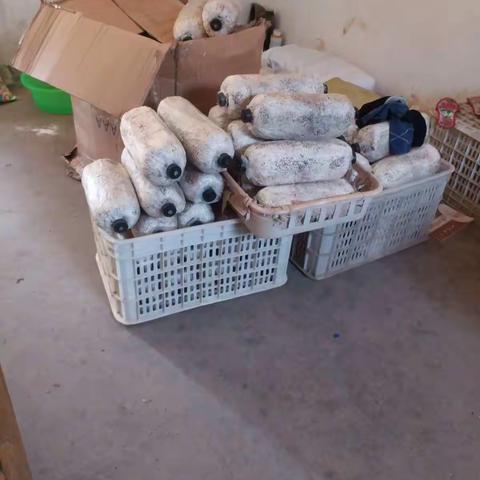 2019年试验菌棒制作